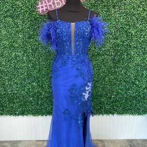 Stunning Blue Evening Gown with Feather Details